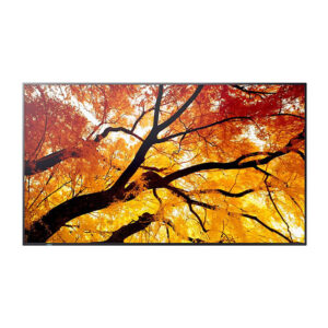 SHARP M-series 75'' Display